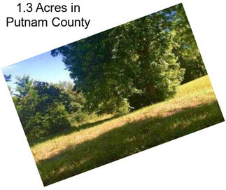 1.3 Acres in Putnam County