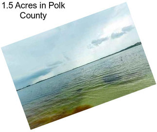 1.5 Acres in Polk County