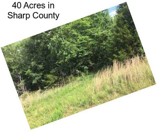 40 Acres in Sharp County