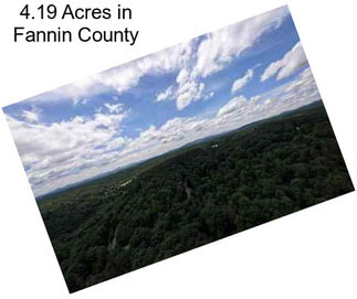 4.19 Acres in Fannin County
