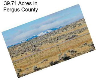 39.71 Acres in Fergus County