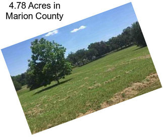 4.78 Acres in Marion County