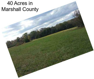 40 Acres in Marshall County