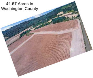 41.57 Acres in Washington County