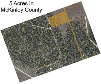 5 Acres in McKinley County