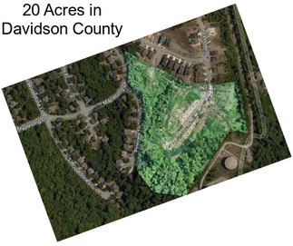 20 Acres in Davidson County