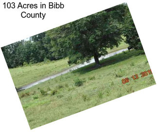 103 Acres in Bibb County