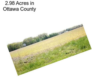 2.98 Acres in Ottawa County