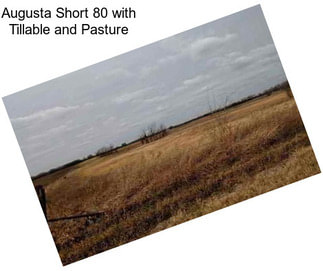 Augusta Short 80 with Tillable and Pasture