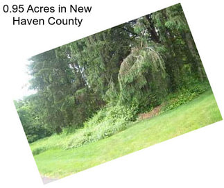 0.95 Acres in New Haven County