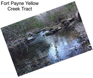 Fort Payne Yellow Creek Tract