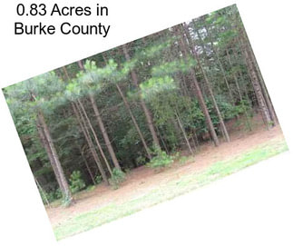 0.83 Acres in Burke County