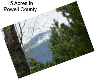 15 Acres in Powell County