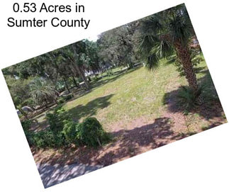 0.53 Acres in Sumter County