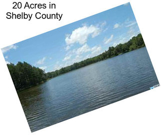 20 Acres in Shelby County
