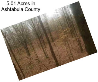 5.01 Acres in Ashtabula County