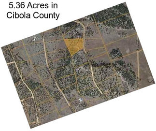 5.36 Acres in Cibola County