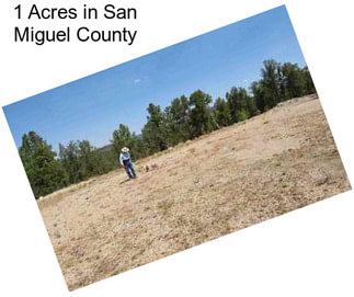 1 Acres in San Miguel County