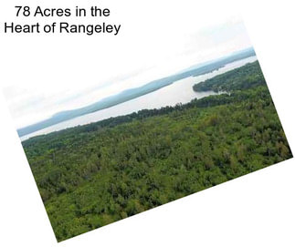 78 Acres in the Heart of Rangeley