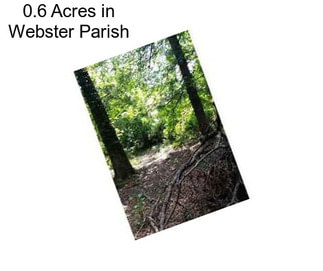 0.6 Acres in Webster Parish