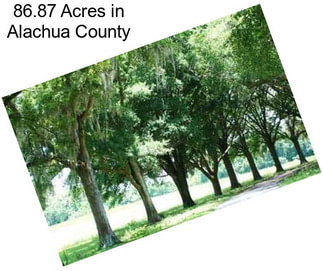 86.87 Acres in Alachua County
