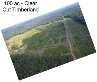 100 ac - Clear Cut Timberland