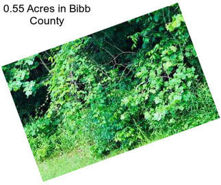 0.55 Acres in Bibb County