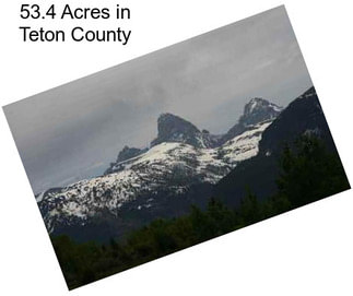 53.4 Acres in Teton County