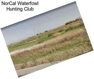 NorCal Waterfowl Hunting Club