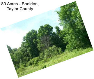 80 Acres - Sheldon, Taylor County