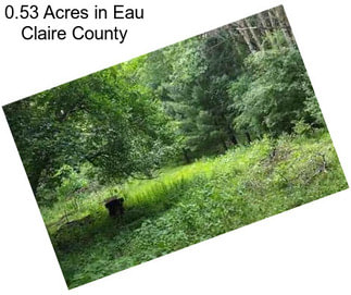 0.53 Acres in Eau Claire County
