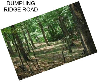 DUMPLING RIDGE ROAD