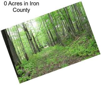 0 Acres in Iron County