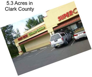 5.3 Acres in Clark County