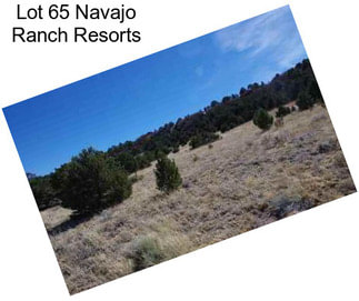 Lot 65 Navajo Ranch Resorts