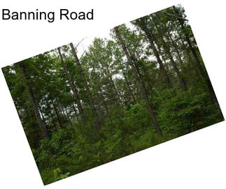 Banning Road