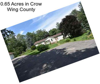 0.65 Acres in Crow Wing County