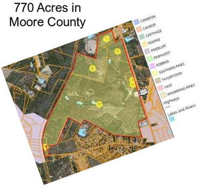 770 Acres in Moore County