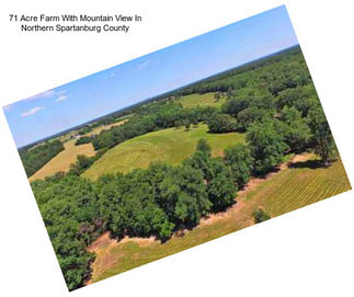 71 Acre Farm With Mountain View In Northern Spartanburg County