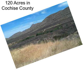 120 Acres in Cochise County