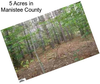 5 Acres in Manistee County