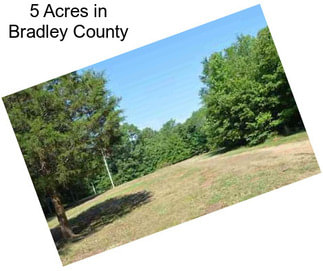5 Acres in Bradley County