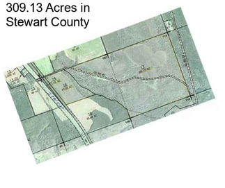 309.13 Acres in Stewart County