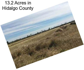 13.2 Acres in Hidalgo County