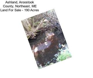Ashland, Aroostook County, Northeast, ME Land For Sale - 190 Acres