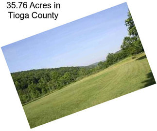 35.76 Acres in Tioga County