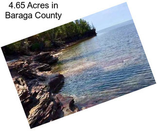 4.65 Acres in Baraga County