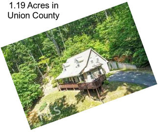 1.19 Acres in Union County