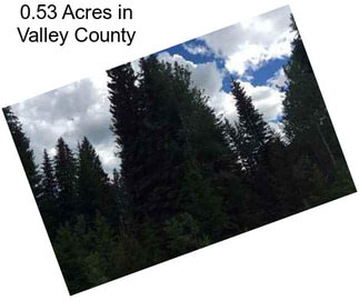 0.53 Acres in Valley County