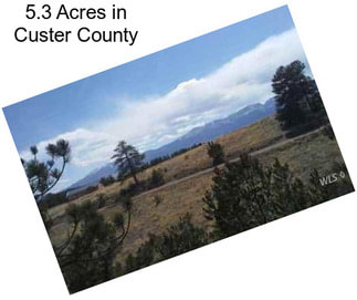 5.3 Acres in Custer County